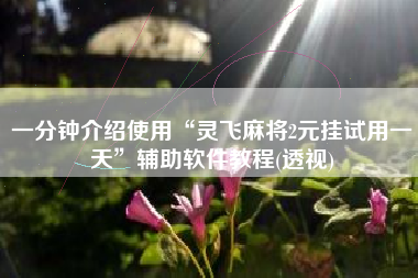 一分钟介绍使用“灵飞麻将2元挂试用一天”辅助软件教程(透视)