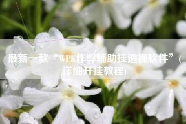 最新一款“WPK作弊辅助挂透视软件	”(详细开挂教程)
