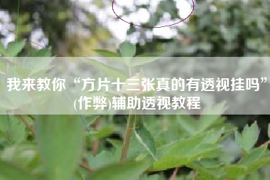 我来教你“方片十三张真的有透视挂吗	”(作弊)辅助透视教程