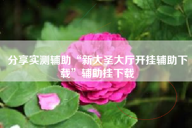 分享实测辅助“新大圣大厅开挂辅助下载	”辅助挂下载