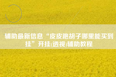 辅助最新信息“皮皮跑胡子哪里能买到挂	”开挂(透视)辅助教程