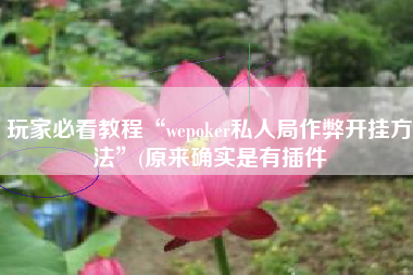 玩家必看教程“wepoker私人局作弊开挂方法	”(原来确实是有插件