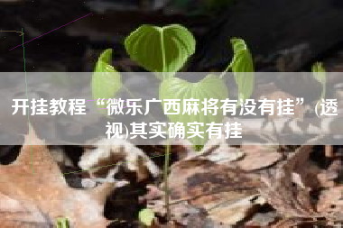 开挂教程“微乐广西麻将有没有挂”(透视)其实确实有挂
