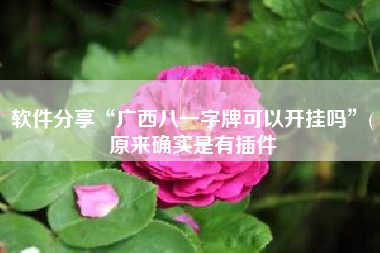 软件分享“广西八一字牌可以开挂吗	”(原来确实是有插件