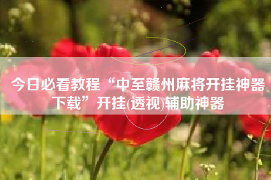 今日必看教程“中至赣州麻将开挂神器下载”开挂(透视)辅助神器