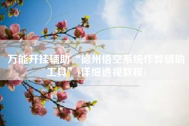 万能开挂辅助“德州悟空系统作弊辅助工具”(详细透视教程)