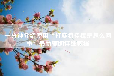 一分钟介绍使用“打麻将挂棒是怎么回事”最新辅助详细教程