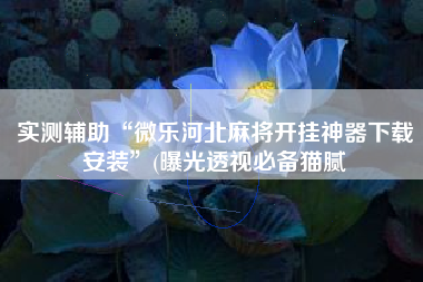 实测辅助“微乐河北麻将开挂神器下载安装”(曝光透视必备猫腻