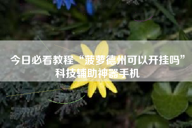 今日必看教程“菠萝德州可以开挂吗	”科技辅助神器手机