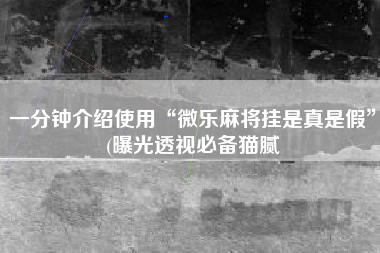 一分钟介绍使用“微乐麻将挂是真是假”(曝光透视必备猫腻