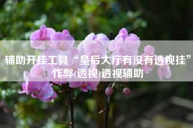 辅助开挂工具“皇后大厅有没有透视挂”作弊(透视)透视辅助