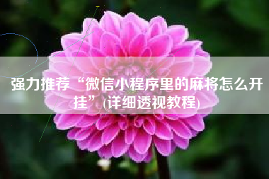 强力推荐“微信小程序里的麻将怎么开挂”(详细透视教程)