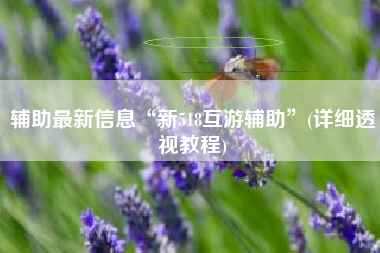 辅助最新信息“新518互游辅助	”(详细透视教程)