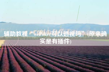辅助教程“wePoker可以透视吗”(原来确实是有插件)