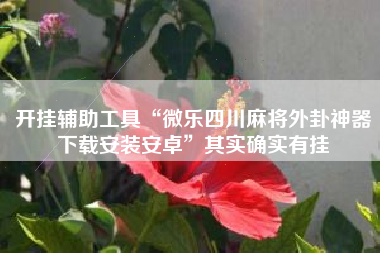 开挂辅助工具“微乐四川麻将外卦神器下载安装安卓”其实确实有挂