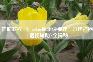 辅助教程“hhpoker德州透视挂”开挂神器{透视辅助}全揭秘