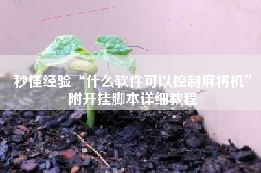 秒懂经验“什么软件可以控制麻将机”附开挂脚本详细教程