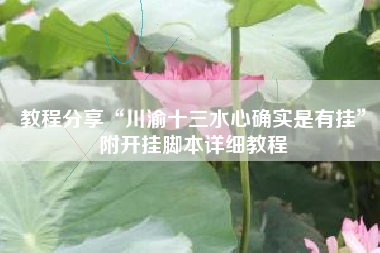 教程分享“川渝十三水心确实是有挂	”附开挂脚本详细教程