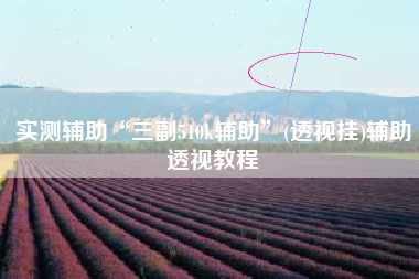 实测辅助“三副510k辅助”(透视挂)辅助透视教程