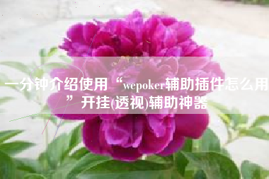 一分钟介绍使用“wepoker辅助插件怎么用	”开挂(透视)辅助神器