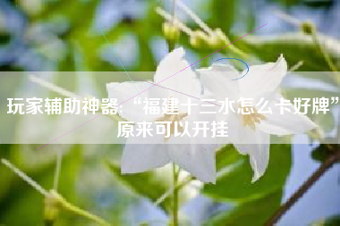 玩家辅助神器:“福建十三水怎么卡好牌”原来可以开挂