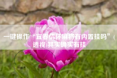 一键操作“宜春情怀麻将有内置挂吗”(透视)其实确实有挂