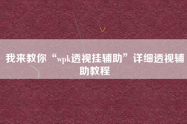 我来教你“wpk透视挂辅助”详细透视辅助教程