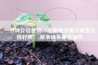 一分钟介绍使用“小南娱乐板子炮怎么得好牌”(原来确实是有插件