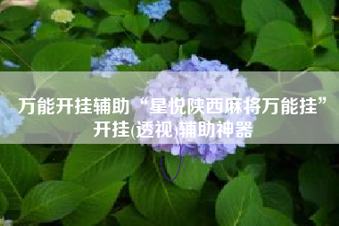 万能开挂辅助“星悦陕西麻将万能挂”开挂(透视)辅助神器
