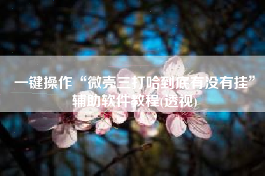 一键操作“微壳三打哈到底有没有挂”辅助软件教程(透视)