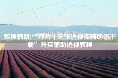 教程辅助!“方片十三张透视挂辅助器下载”开挂辅助透视教程