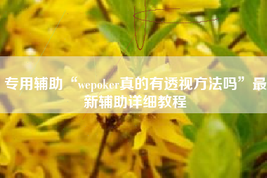 专用辅助“wepoker真的有透视方法吗	”最新辅助详细教程