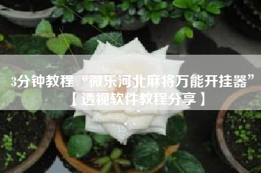 3分钟教程“微乐河北麻将万能开挂器”【透视软件教程分享】