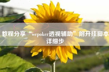 教程分享“wepoker透视辅助”附开挂脚本详细步