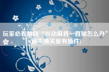 玩家必看教程“兴动麻将一直输怎么办”(原来确实是有插件)