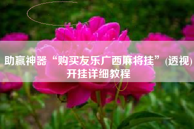 助赢神器“购买友乐广西麻将挂”(透视)开挂详细教程