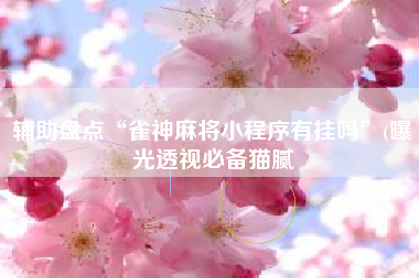 辅助盘点“雀神麻将小程序有挂吗”(曝光透视必备猫腻