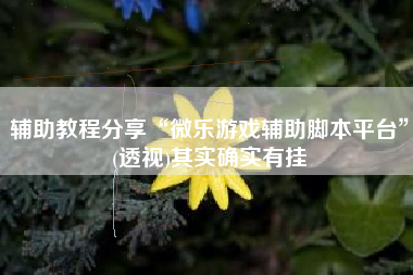 辅助教程分享“微乐游戏辅助脚本平台”(透视)其实确实有挂