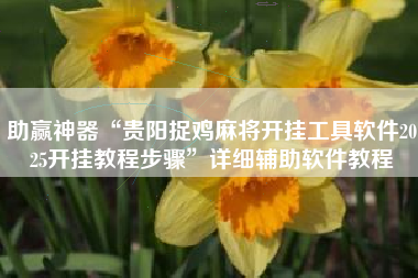 助赢神器“贵阳捉鸡麻将开挂工具软件2025开挂教程步骤	”详细辅助软件教程