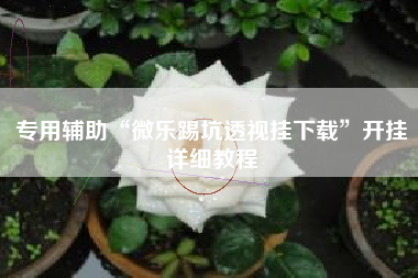 专用辅助“微乐踢坑透视挂下载”开挂详细教程