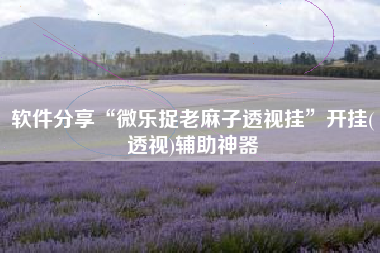 软件分享“微乐捉老麻子透视挂”开挂(透视)辅助神器