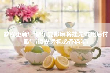 教程更新!“微乐安徽麻将挂先试用后付款”(曝光透视必备猫腻)