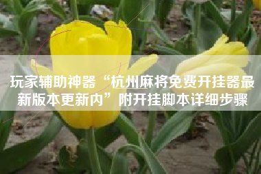 玩家辅助神器“杭州麻将免费开挂器最新版本更新内”附开挂脚本详细步骤