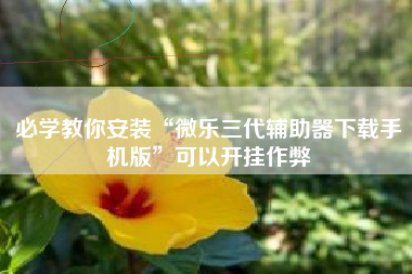 必学教你安装“微乐三代辅助器下载手机版”可以开挂作弊