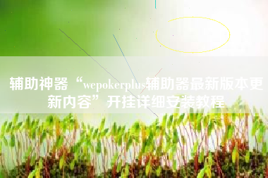 辅助神器“wepokerplus辅助器最新版本更新内容	”开挂详细安装教程