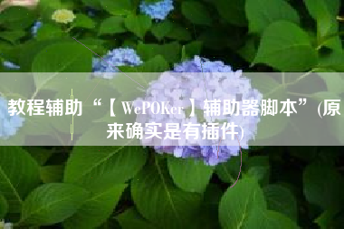 教程辅助“【WePOKer】辅助器脚本”(原来确实是有插件)