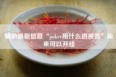 辅助最新信息“poker用什么透视器	”原来可以开挂