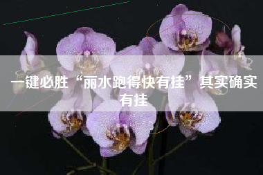 一键必胜“丽水跑得快有挂”其实确实有挂