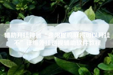 辅助开挂神器“贵阳捉鸡麻将可以开挂不”详细外挂透视辅助软件教程