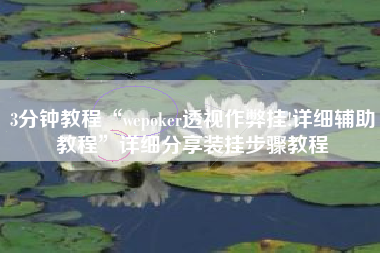 3分钟教程“wepoker透视作弊挂!详细辅助教程”详细分享装挂步骤教程